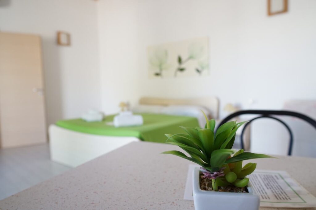 Camera Salvia